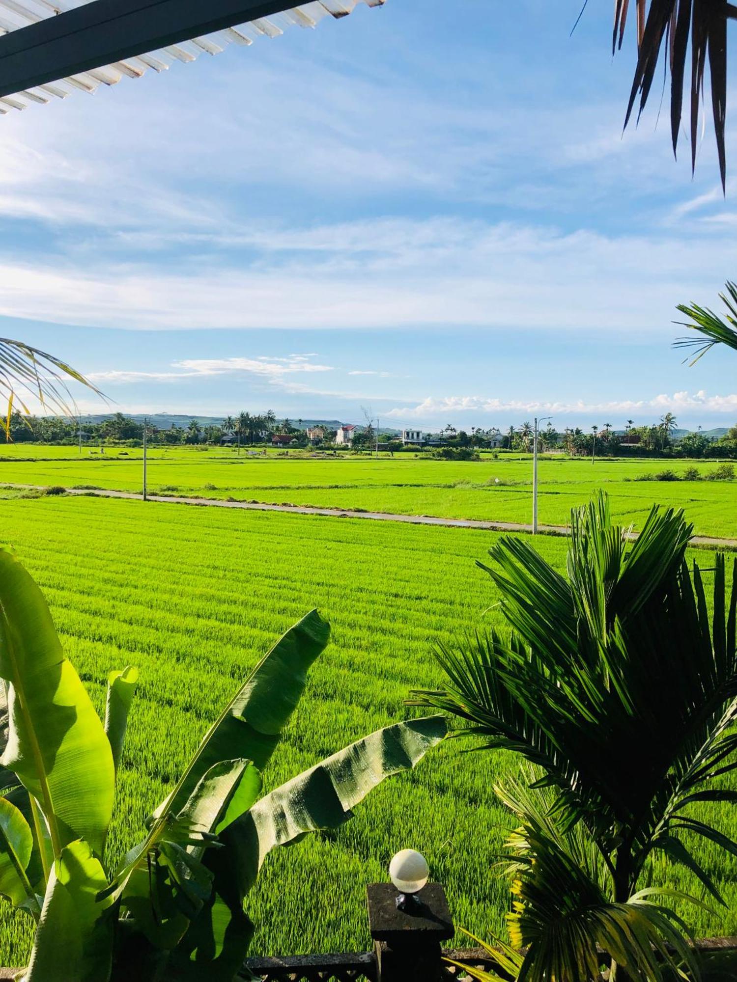 Countryside Homestay Κουάνγκ Νγκάι Εξωτερικό φωτογραφία