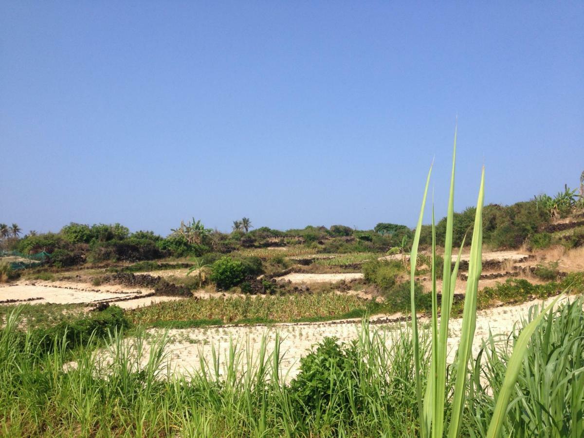 Countryside Homestay Κουάνγκ Νγκάι Εξωτερικό φωτογραφία